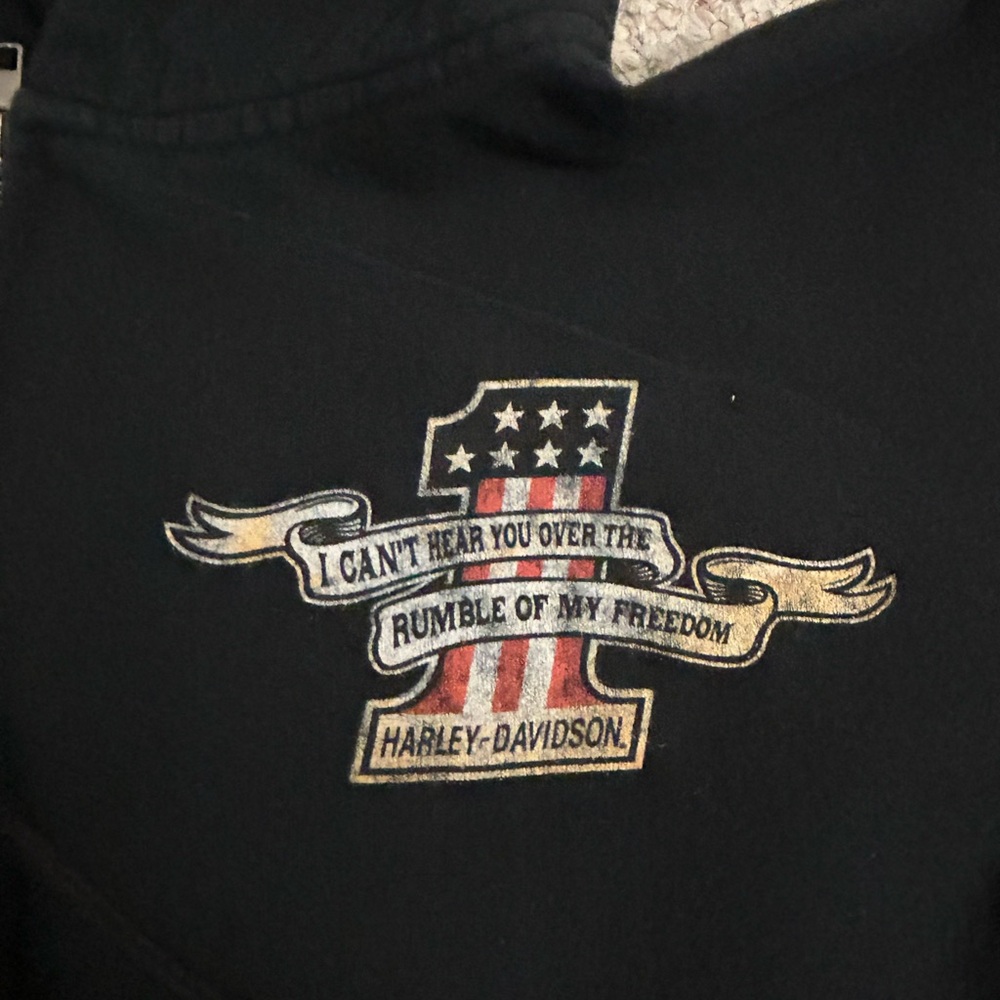 KID ROCK x Harley Davidson Motorcycle Sweatshirt Full Zip Hoodie Womens Size L - Picture 3 of 9